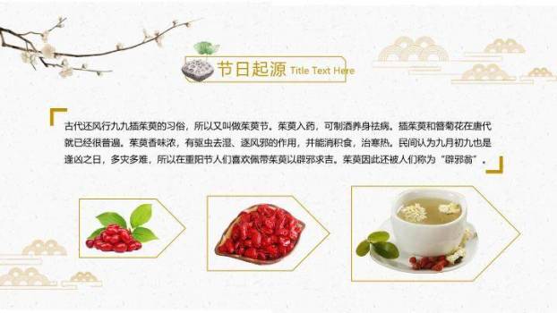 JI-000324仙鹤荷花中国风重阳节PPT模板1