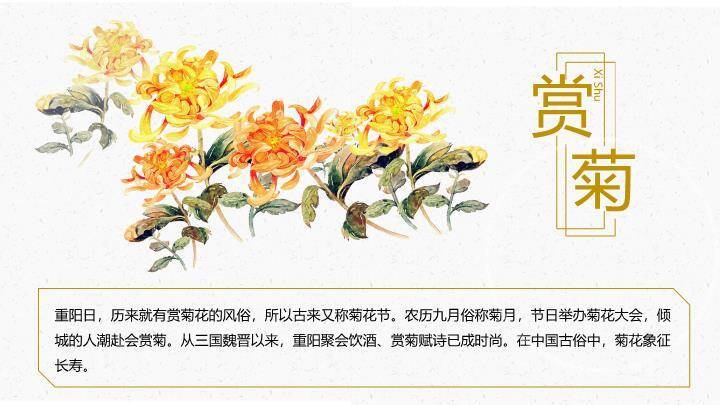 JI-000324仙鹤荷花中国风重阳节PPT模板2