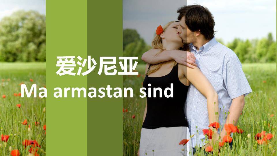 JI-000334用50种语言说“我爱你”PPT2