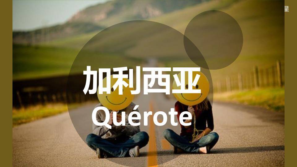 JI-000334用50种语言说“我爱你”PPT6