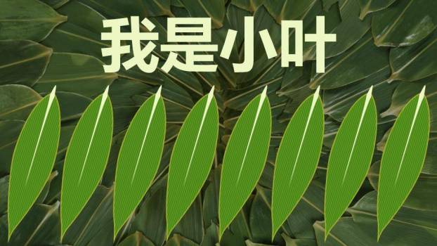 JI-000335有趣的动态端午节主题PPT作品9