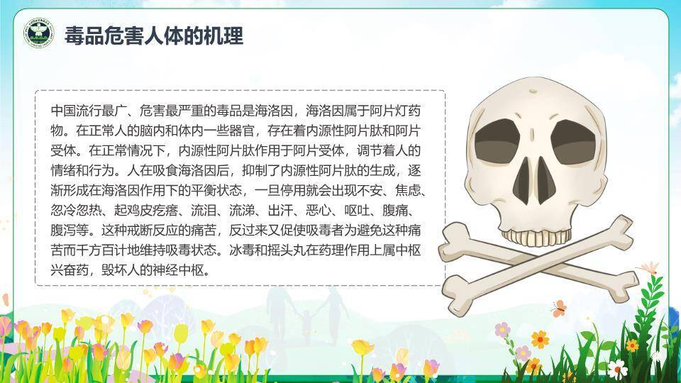 JI-000336远离毒品禁毒日宣传PPT模板3