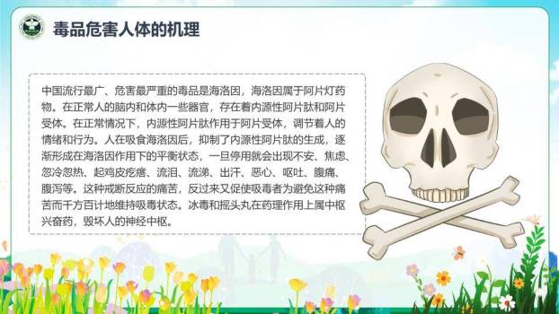 JI-000336远离毒品禁毒日宣传PPT模板3