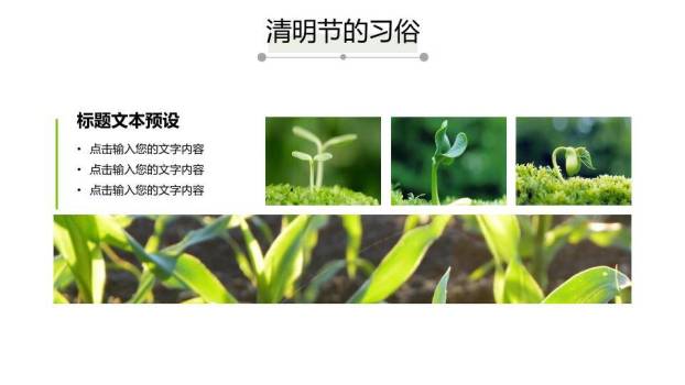 JI-000341中国风清明节PPT模板2