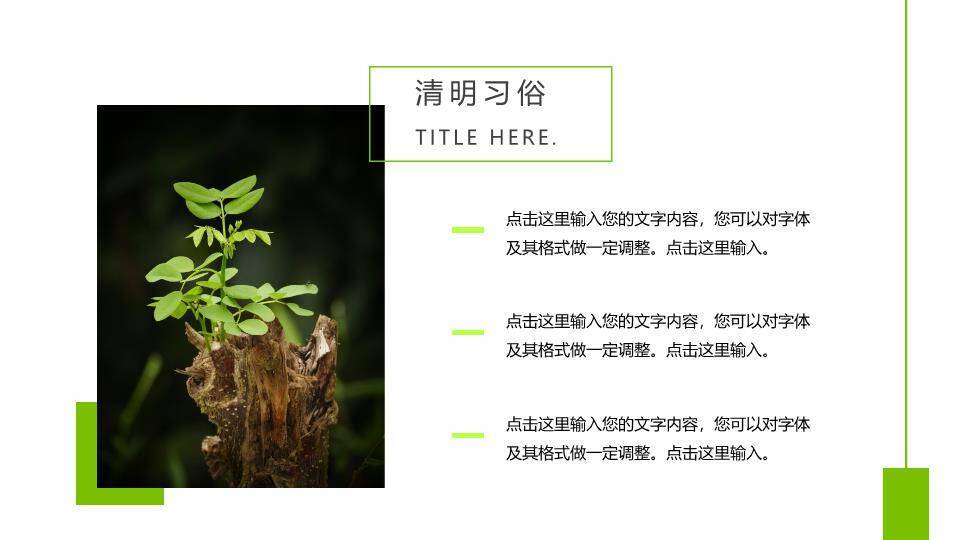 JI-000341中国风清明节PPT模板3