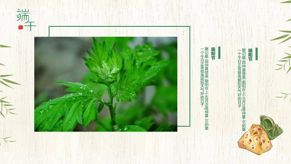 JI-000347竹叶粽子清新端午节PPT模板3