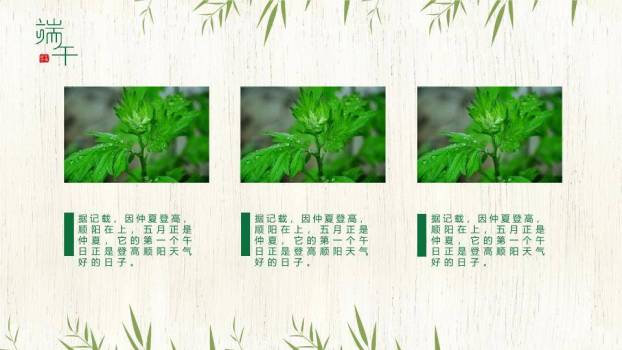 JI-000347竹叶粽子清新端午节PPT模板4