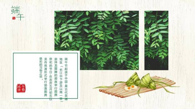 JI-000347竹叶粽子清新端午节PPT模板7