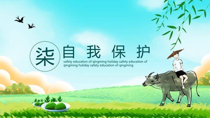 清明节假期安全教育PPT模板8