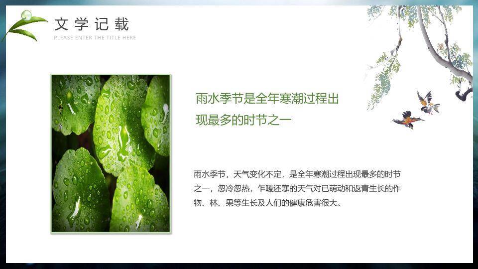 雨水节气摄影艺术PPT模板8