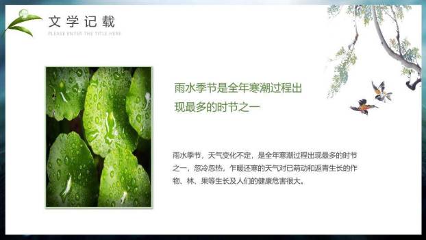 雨水节气摄影艺术PPT模板8