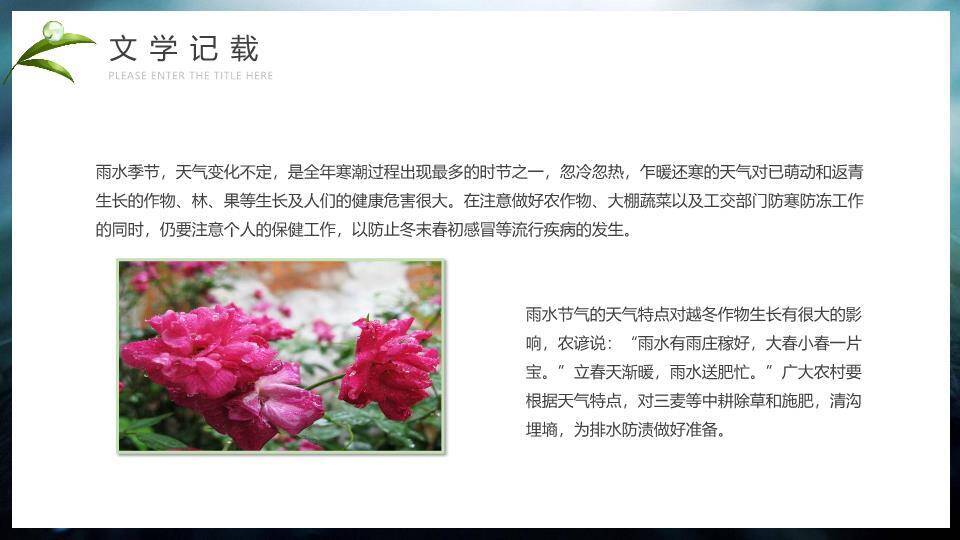 雨水节气摄影艺术PPT模板9