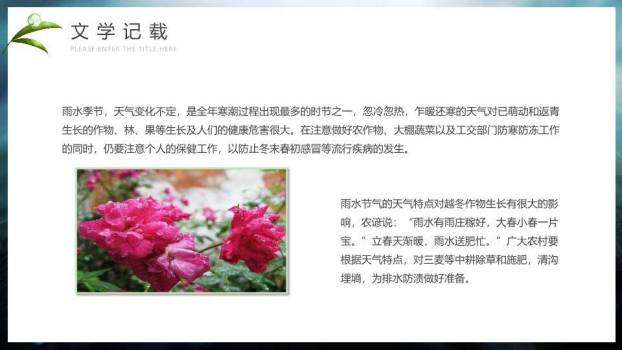 雨水节气摄影艺术PPT模板9