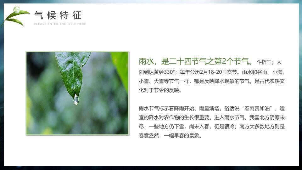 雨水节气摄影艺术PPT模板1