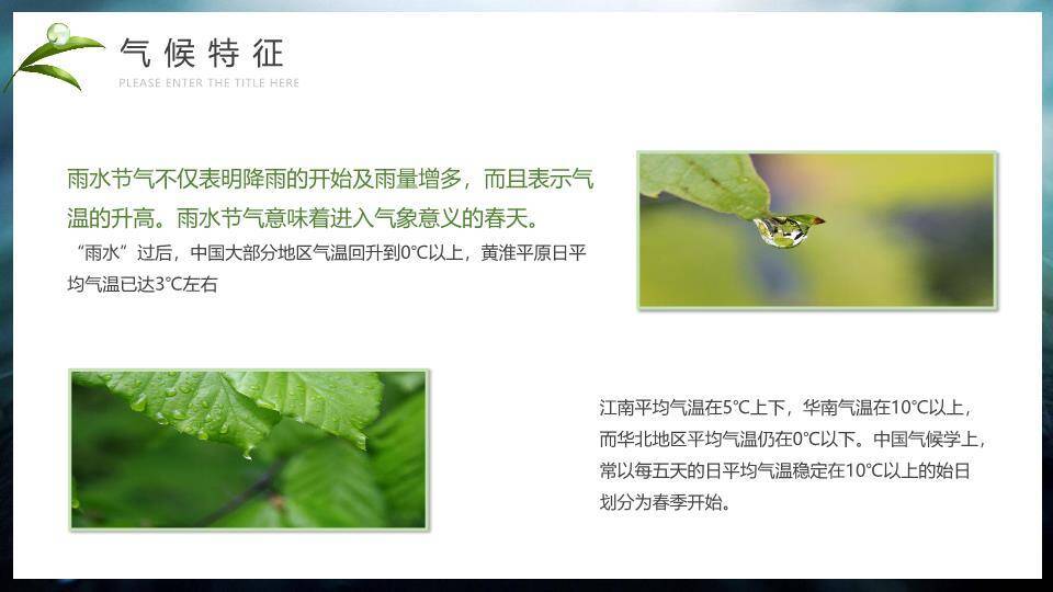 雨水节气摄影艺术PPT模板2
