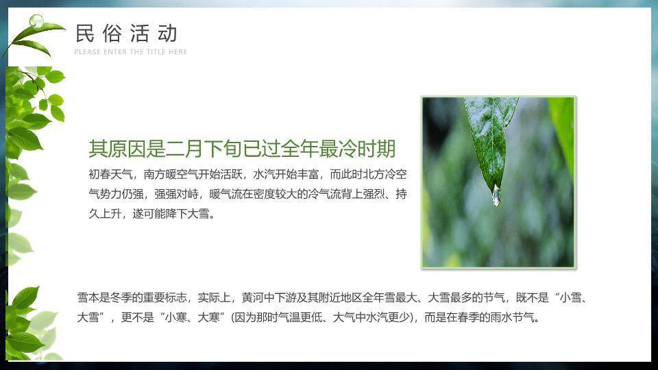 雨水节气摄影艺术PPT模板4