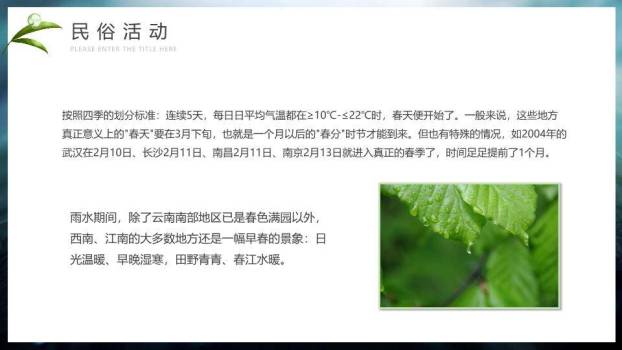 雨水节气摄影艺术PPT模板5