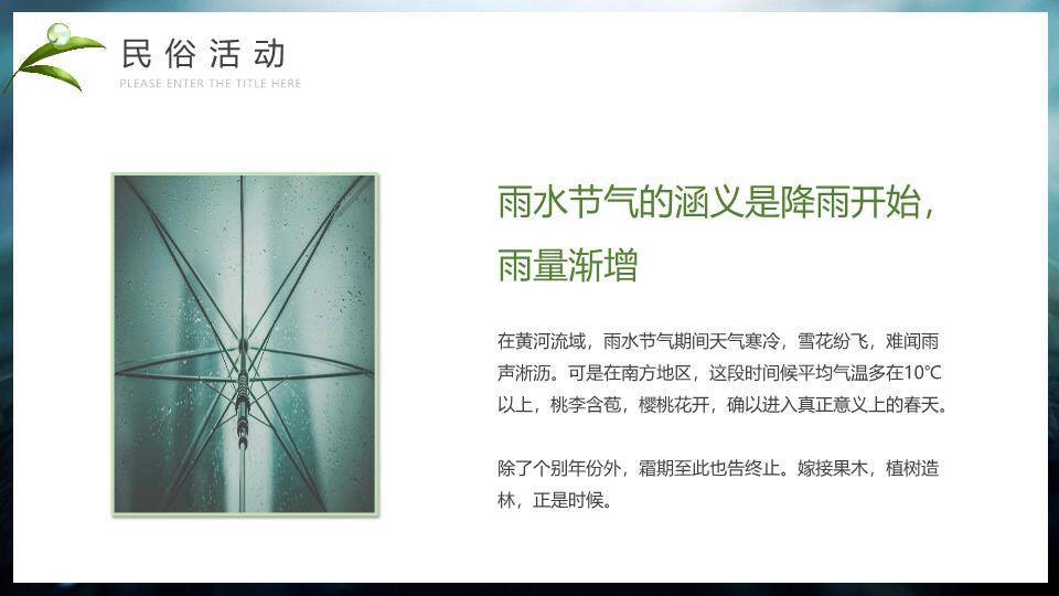 雨水节气摄影艺术PPT模板6