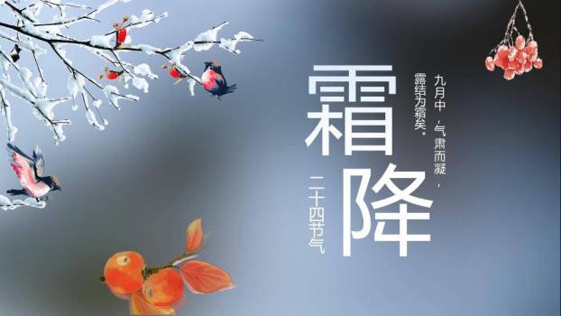 霜降节气文化介绍PPT模板0