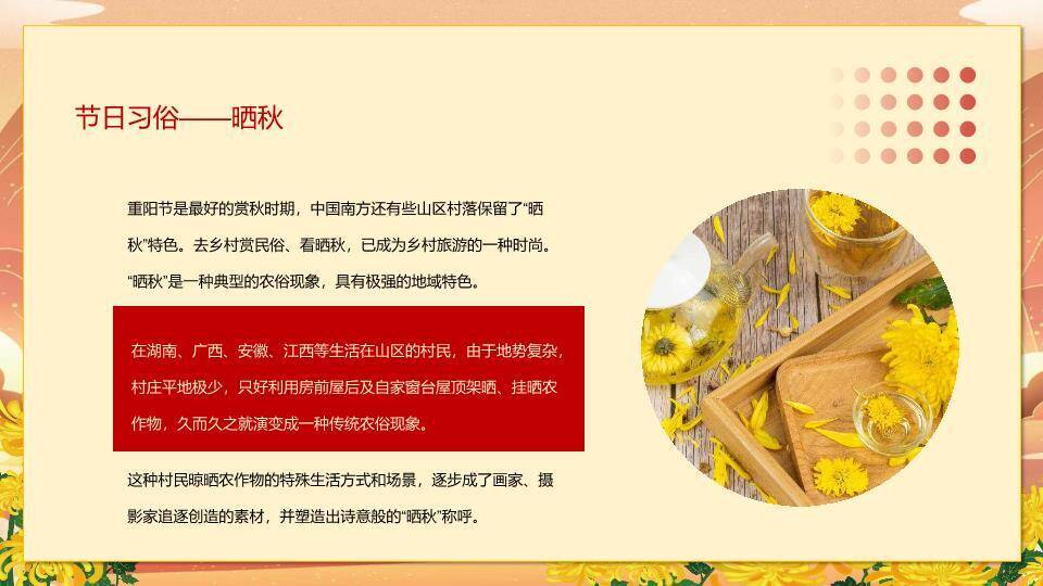 重阳节敬老感恩PPT模板3