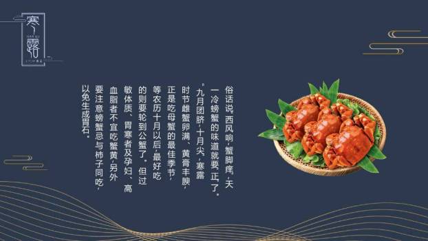 寒露节气自然意境PPT模板8