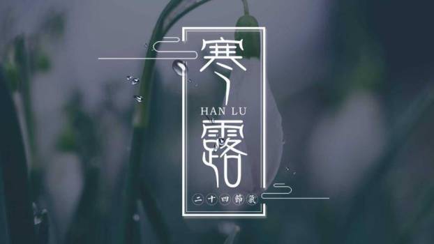 寒露节气自然意境PPT模板0