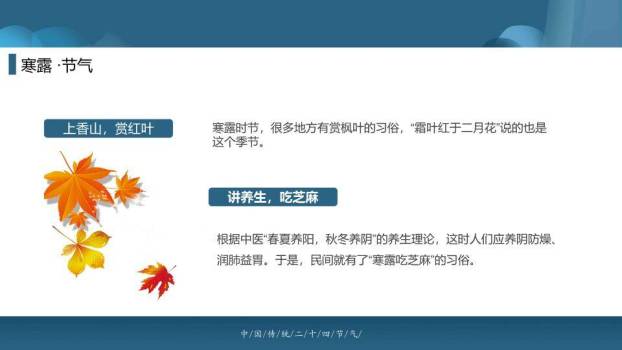 寒露节气诗意表达PPT模板6