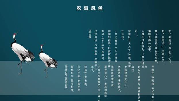 寒露节气传统文化PPT模板8