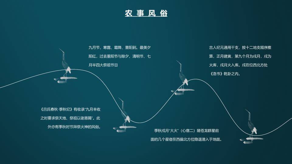 寒露节气传统文化PPT模板9