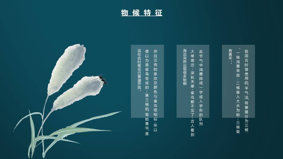 寒露节气传统文化PPT模板1