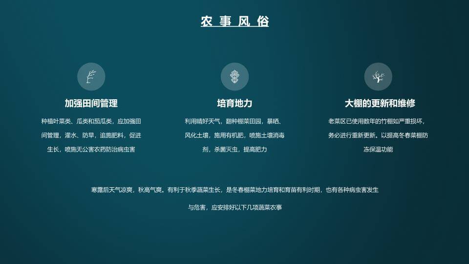 寒露节气传统文化PPT模板4