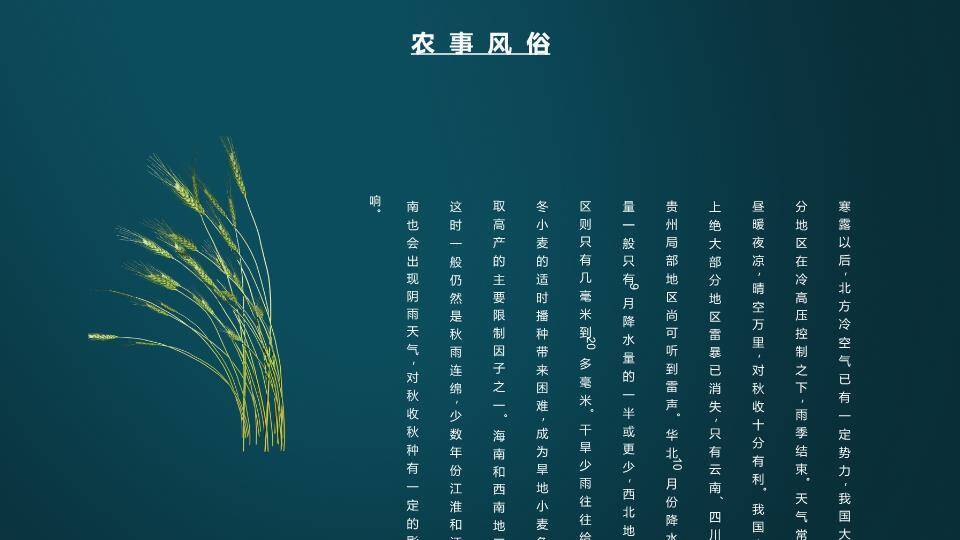 寒露节气传统文化PPT模板6