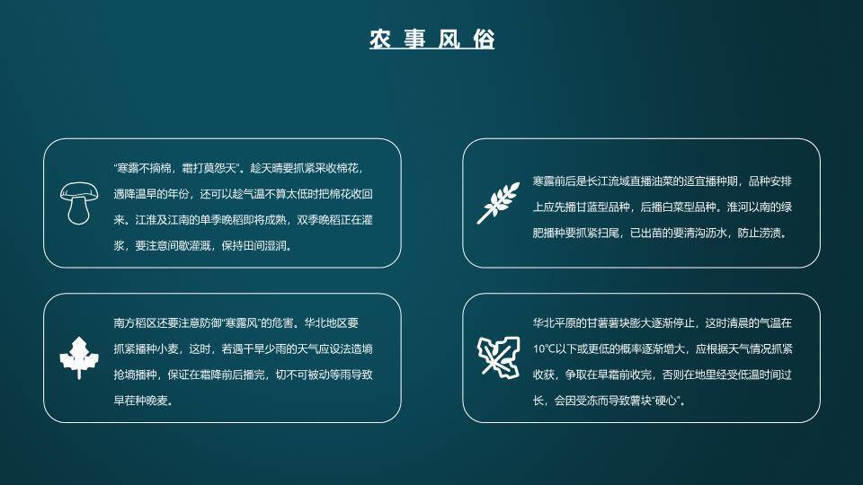 寒露节气传统文化PPT模板7