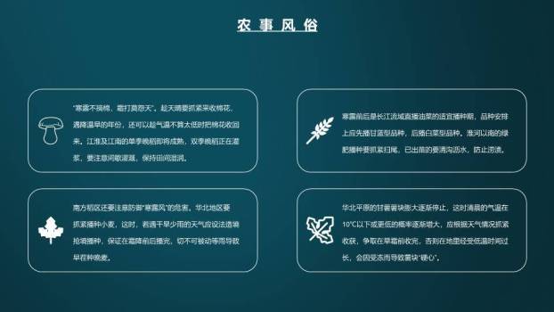 寒露节气传统文化PPT模板7