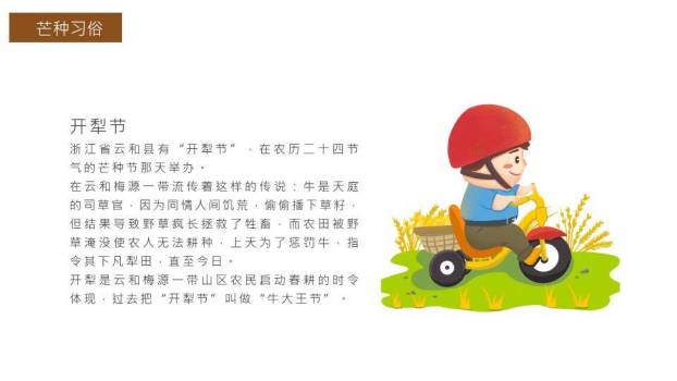 芒种节气传统文化PPT模板8