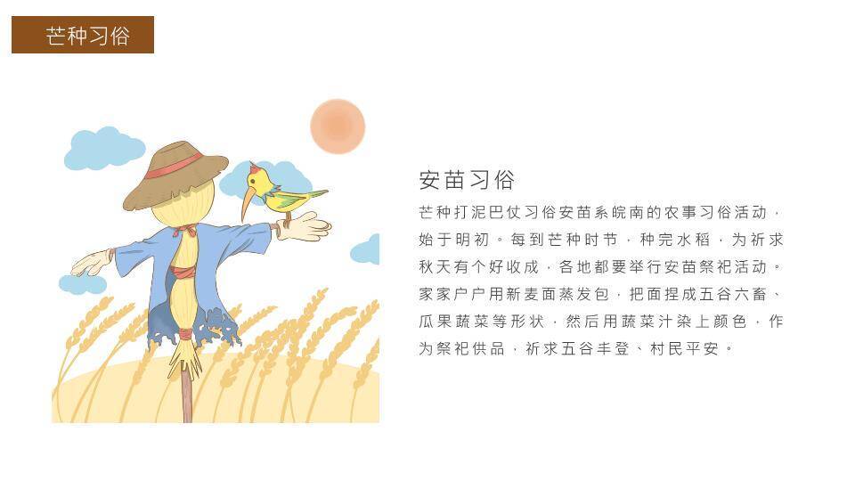 芒种节气传统文化PPT模板9