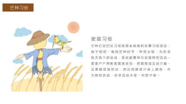 芒种节气传统文化PPT模板9