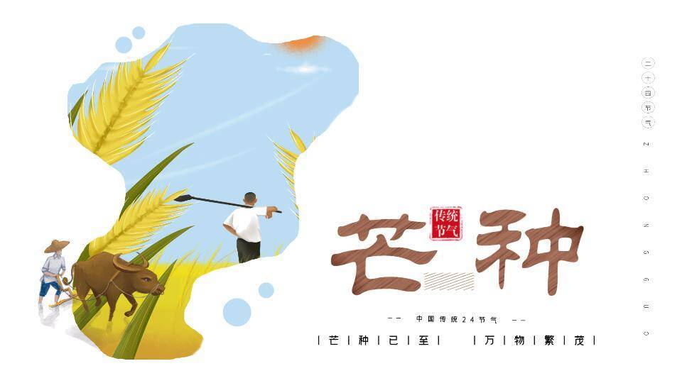 芒种节气传统文化PPT模板0