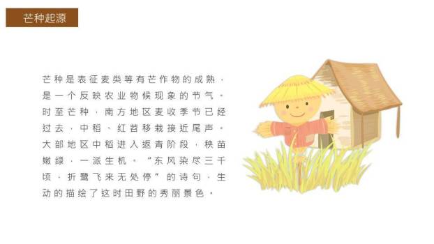 芒种节气传统文化PPT模板3