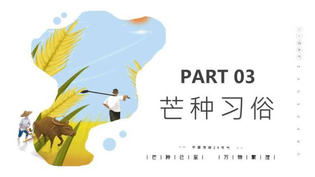 芒种节气传统文化PPT模板4
