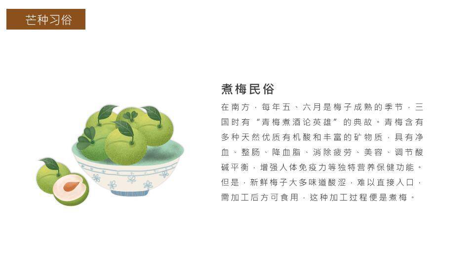 芒种节气传统文化PPT模板5
