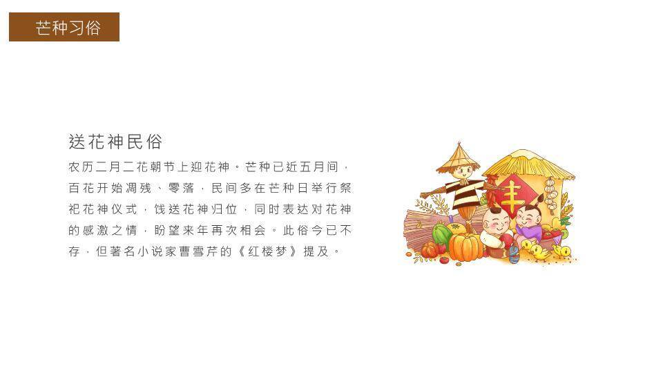芒种节气传统文化PPT模板6