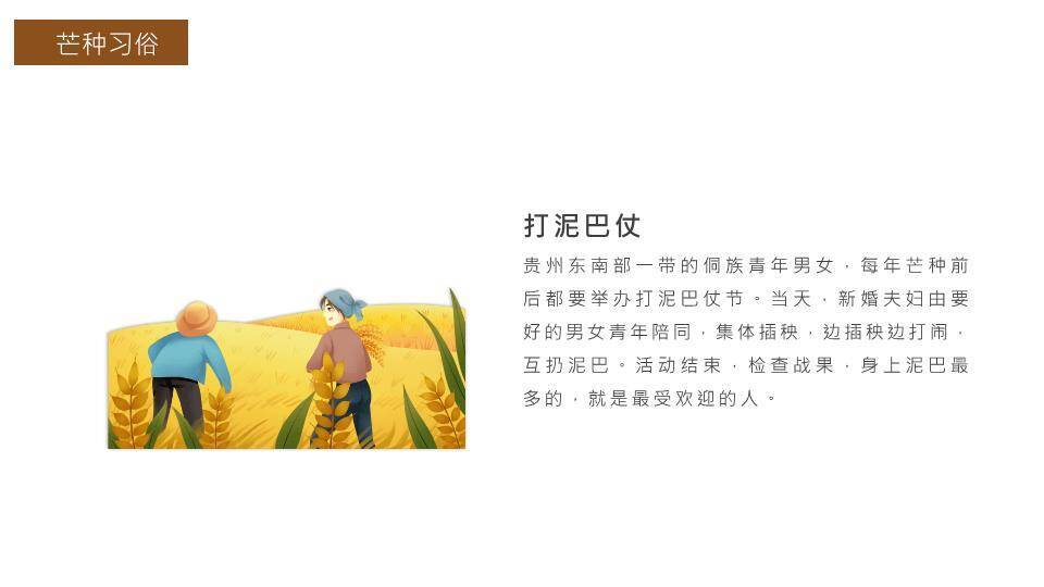 芒种节气传统文化PPT模板7