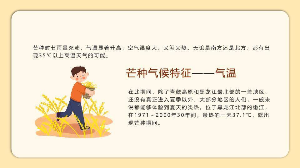 二十四节气芒种教学PPT模板1