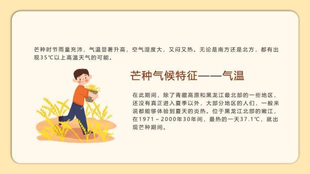 二十四节气芒种教学PPT模板1