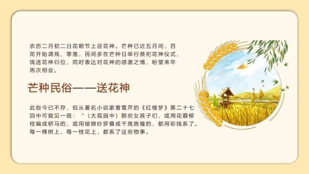 二十四节气芒种教学PPT模板3
