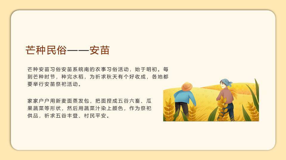 二十四节气芒种教学PPT模板4