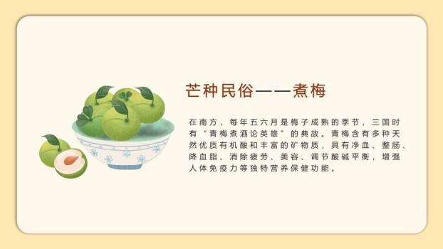 二十四节气芒种教学PPT模板5