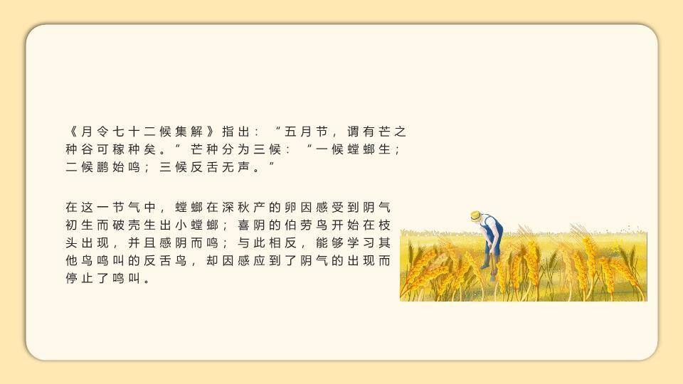 二十四节气芒种教学PPT模板7