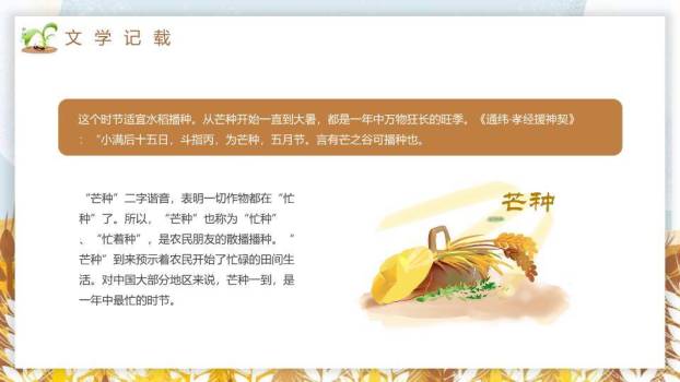芒种节气文化介绍PPT模板8
